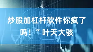 炒股加杠杆软件你疯了吗！”叶天大骇