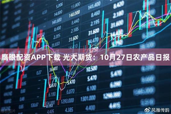 鹰眼配资APP下载 光大期货：10月27日农产品日报